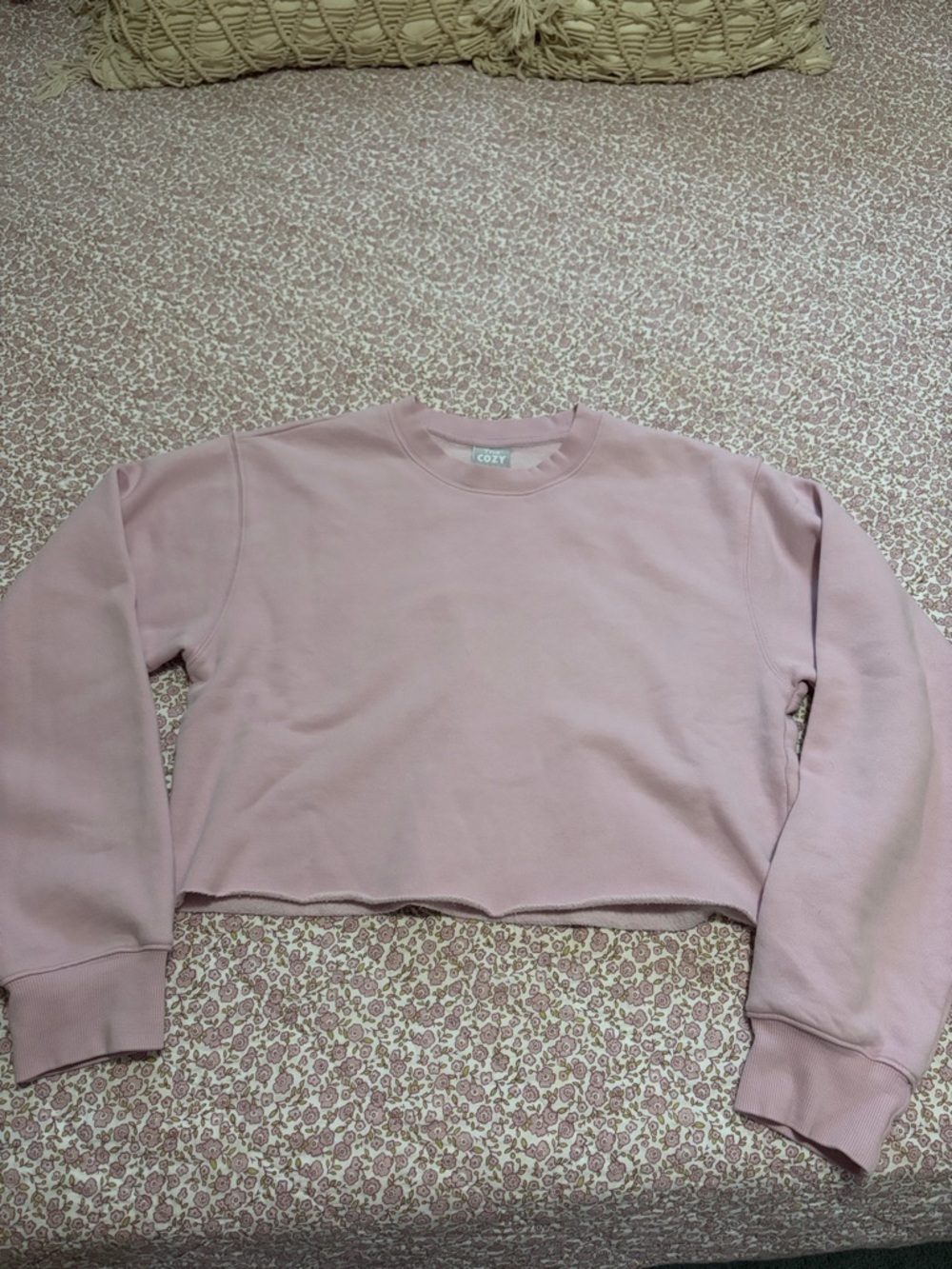 TNA Dusty Pink Cropped Crewneck Sweatshirt - Women